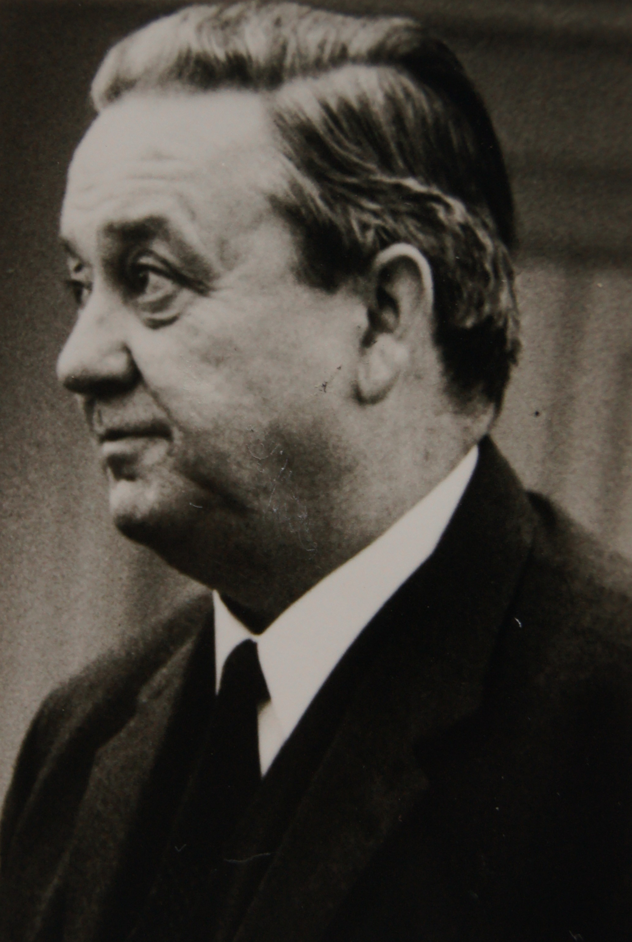 3.1%20Max%20Piedmont%20hoc